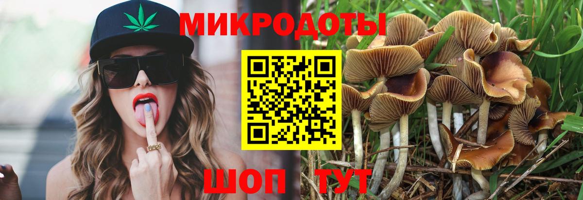 Галлюциногенные грибы прущие грибы Мурманск